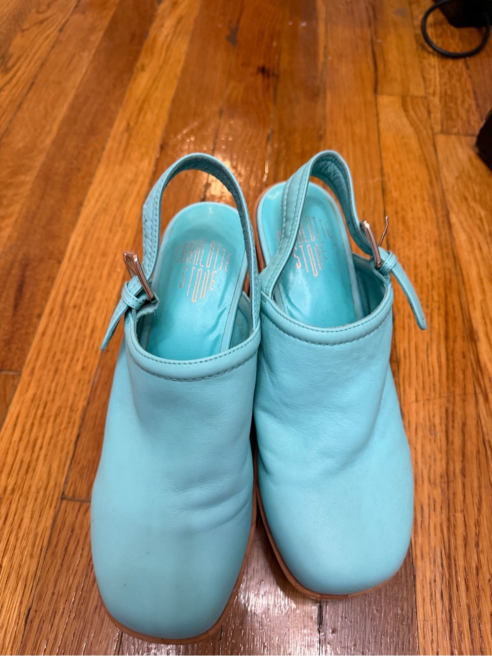 Charlotte Stone Turquoise Leather Slingback Mules
